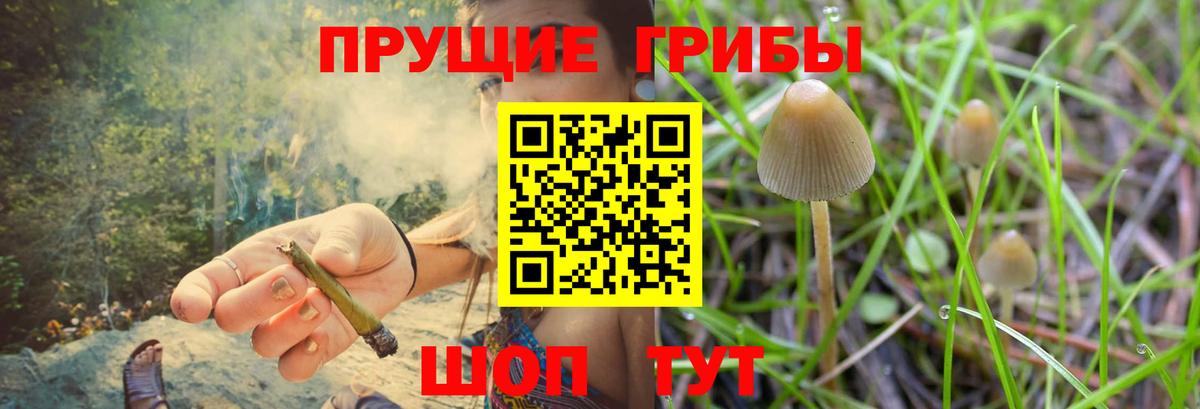 Псилоцибиновые грибы Magic Shrooms  Вход с VPN  Десногорск 